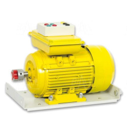 
       SM600-1500S Silnik AC 600W jednofazowy kondensatorowy
     